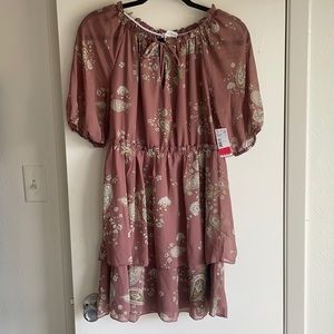 NWT Pink paisley dress